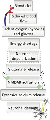 Glutamate Scavenging as a Neuroreparative Strategy in Ischemic Stroke